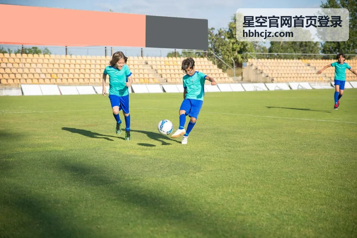星空官网首页登录主控台数据界面